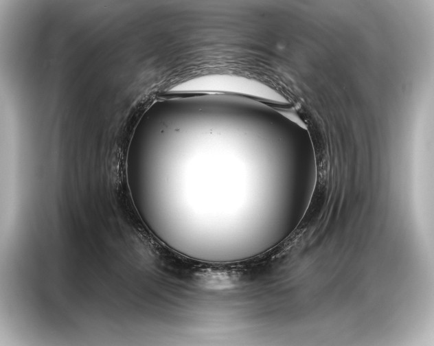 X0000086950464200704301221