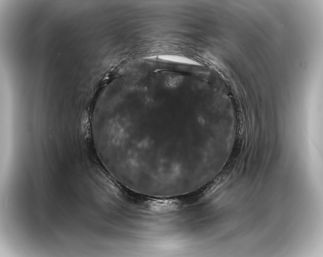 X0000086950465200704301221