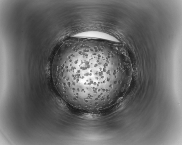 X0000086950466200704301221