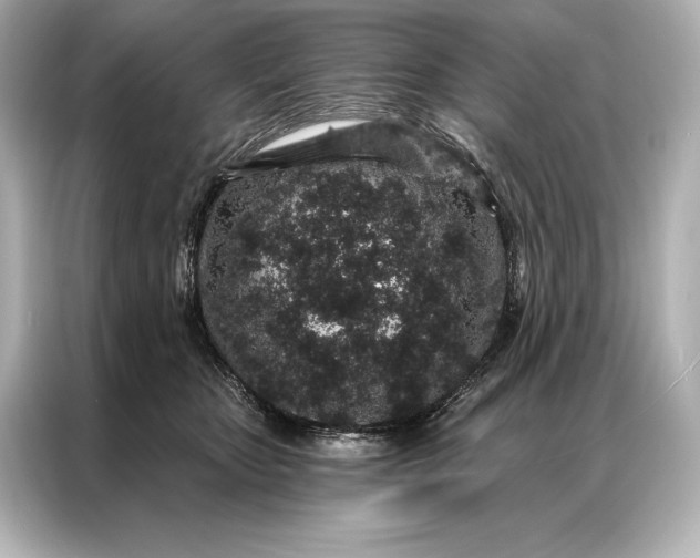 X0000086950467200704301221