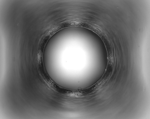 X0000086950468200704301221