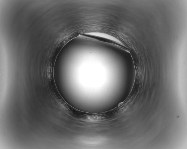 X0000086950470200704301221