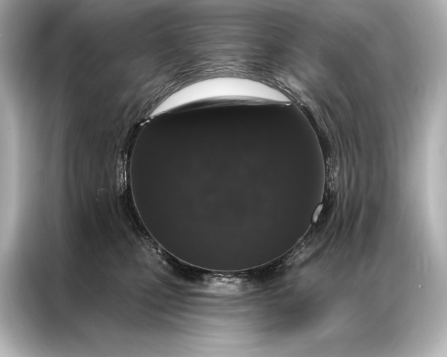 X0000086950471200704301221