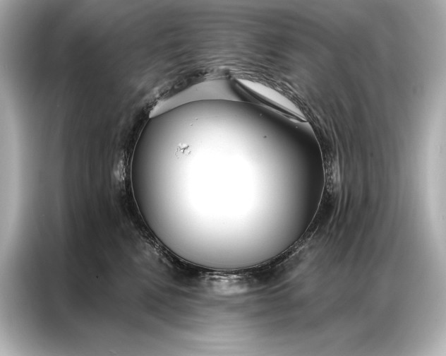 X0000086950472200704301221