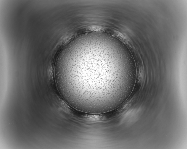 X0000086950473200704301221