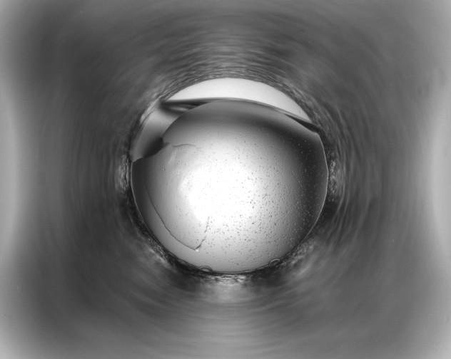 X0000086950474200704301221