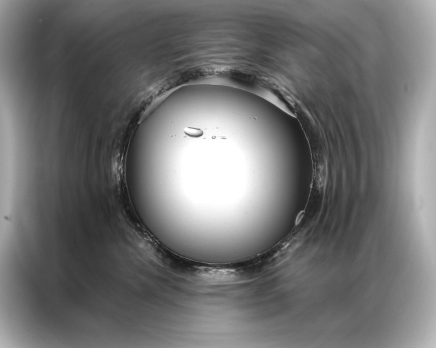 X0000086950476200704301221