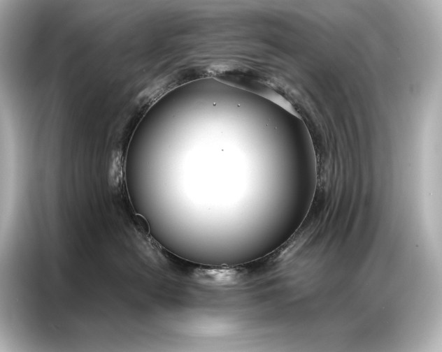 X0000086950478200704301221