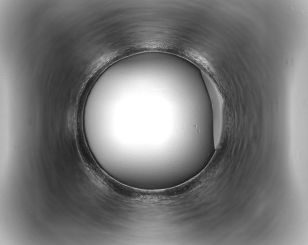 X0000086950482200704301221