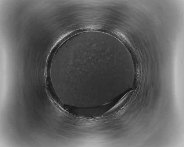 X0000086950484200704301220