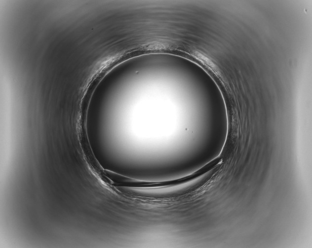 X0000086950485200704301220