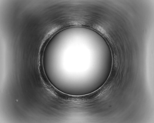 X0000086950486200704301220