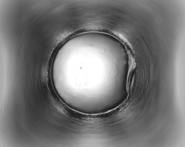 X0000086950487200704301220