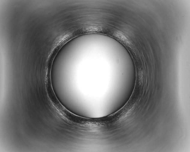 X0000086950490200704301220