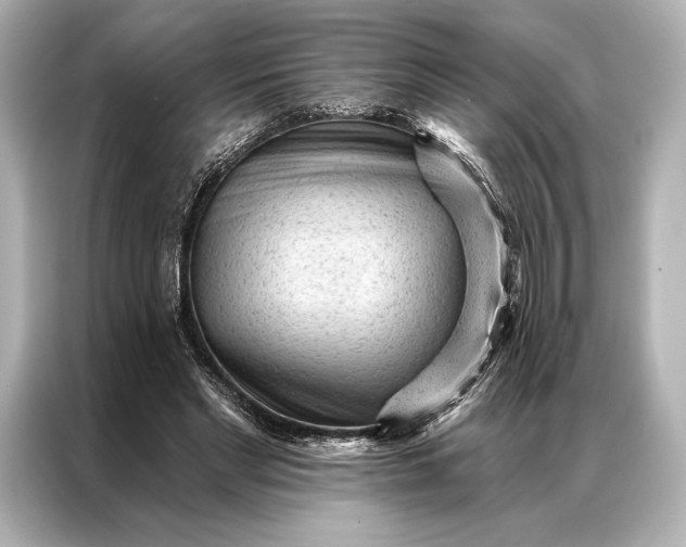 X0000086950493200704301220