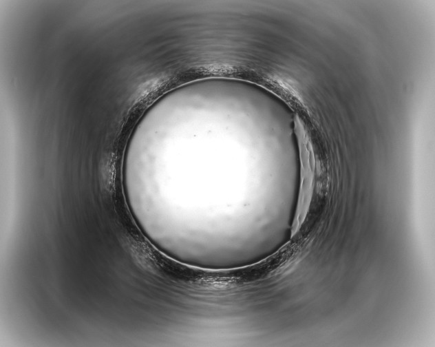 X0000086950495200704301220