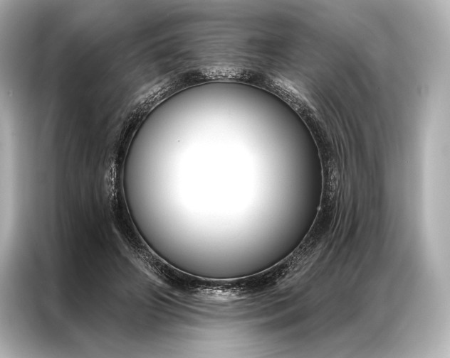 X0000086950498200704301220