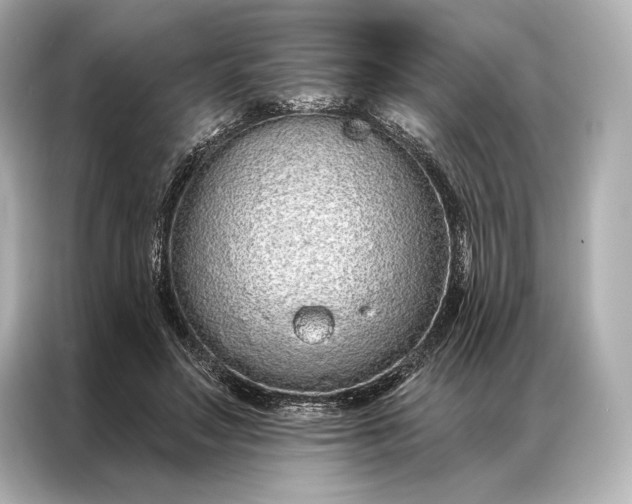 X0000086950499200704301220