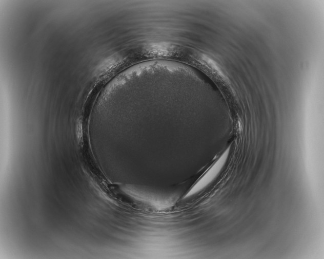 X0000086950500200704301220