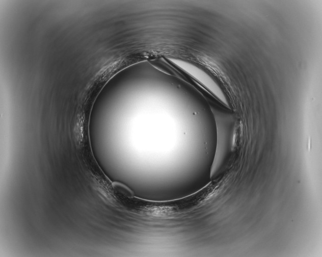 X0000086950501200704301220