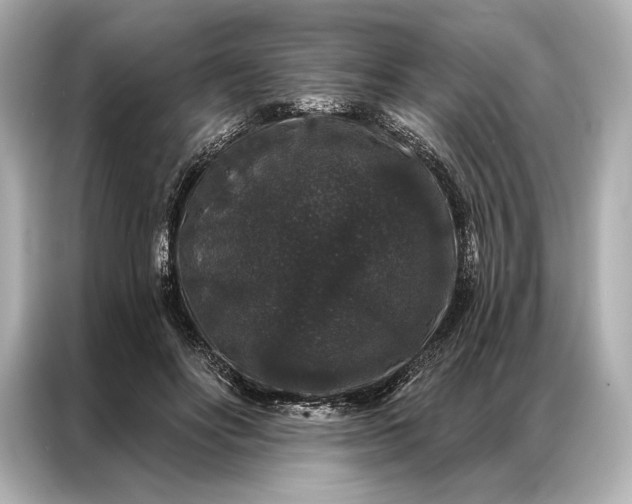 X0000086950502200704301220