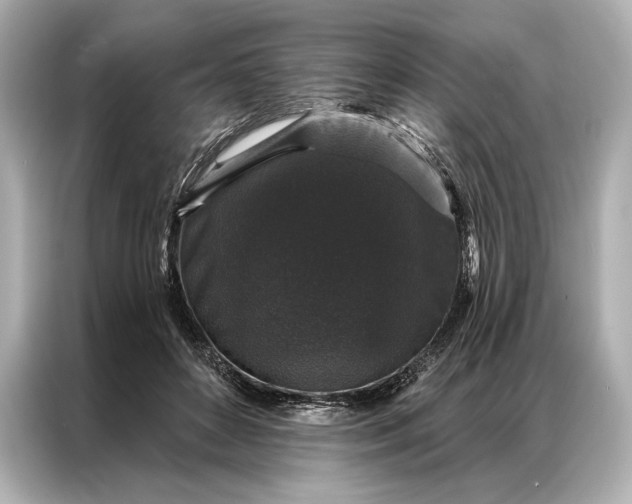 X0000086950504200704301220