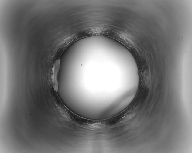 X0000086950505200704301220