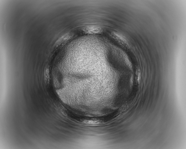 X0000086950506200704301220