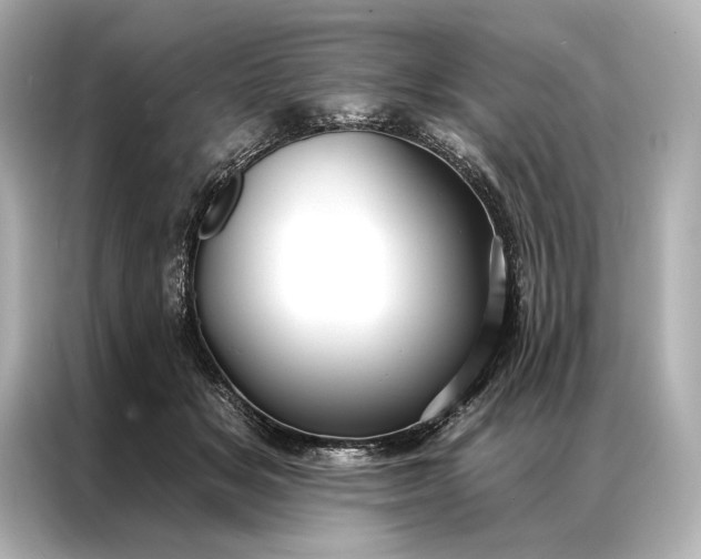 X0000086950509200704301220