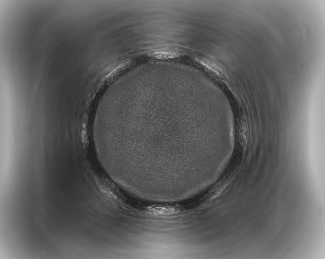 X0000086950512200704301220