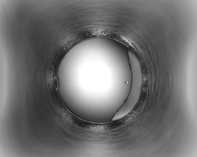 X0000086950513200704301220