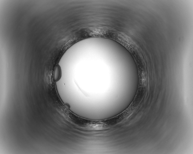 X0000086950514200704301220