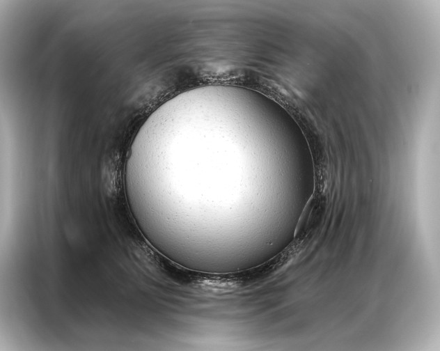 X0000086950515200704301220