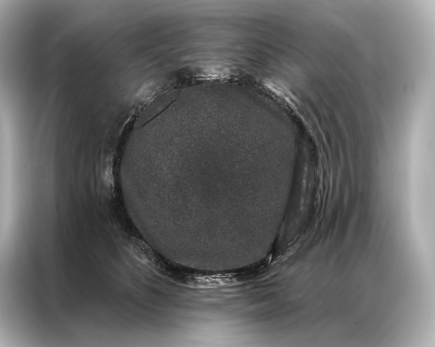 X0000086950516200704301220