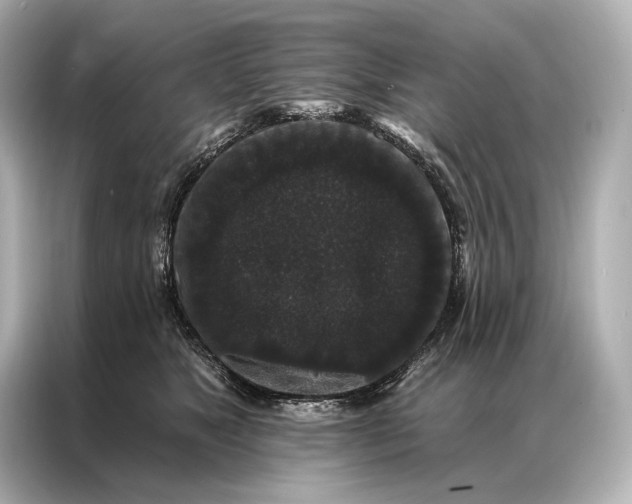 X0000086950517200704301220