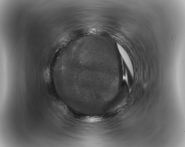 X0000086950520200704301220