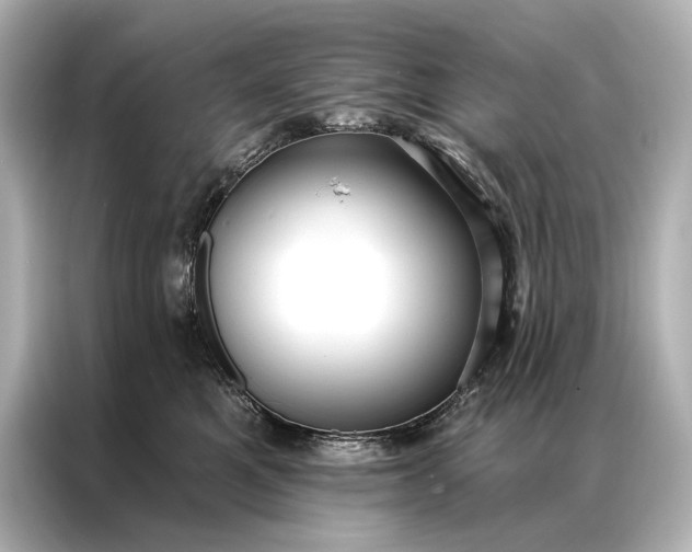 X0000086950521200704301220