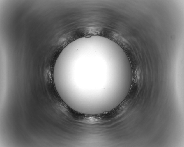 X0000086950522200704301220