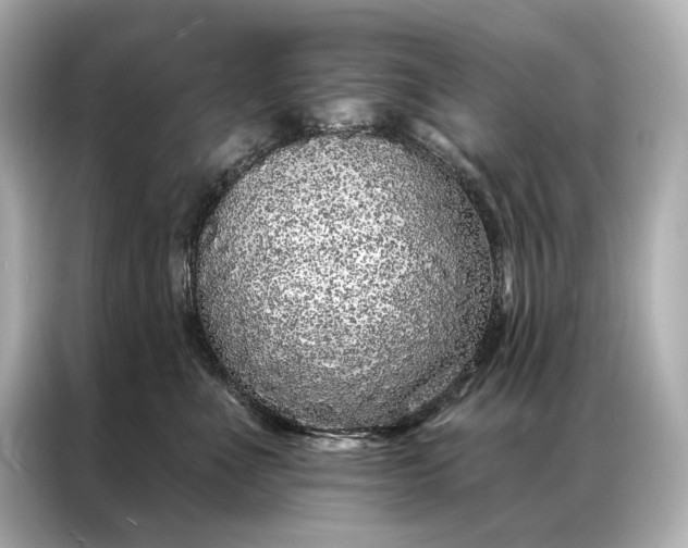 X0000086950523200704301220