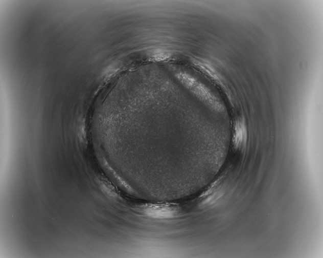 X0000086950524200704301220