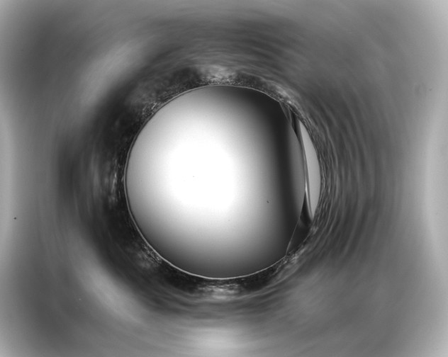 X0000086950525200704301220