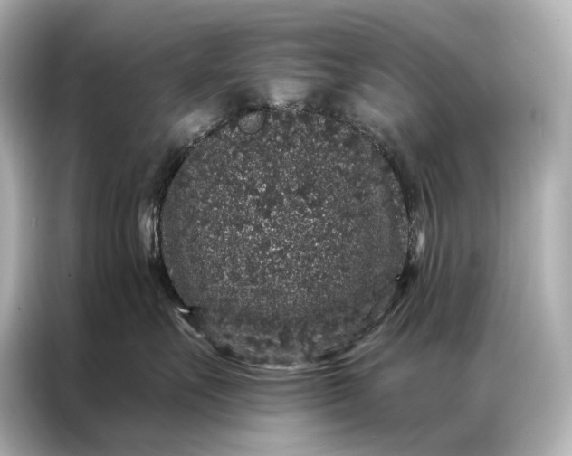 X0000086950527200704301220