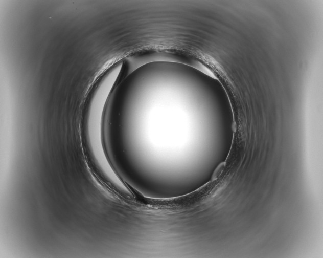 X0000086950530200704301219