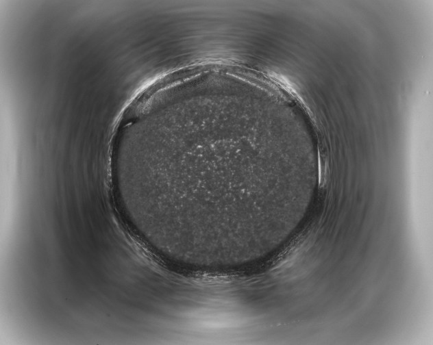 X0000086950531200704301219