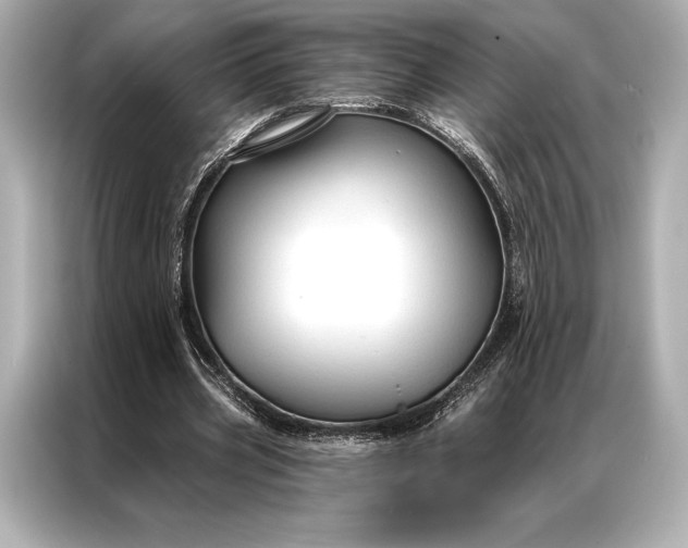 X0000086950533200704301219