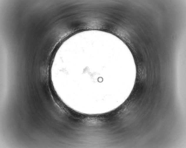 X0000086950534200704301219