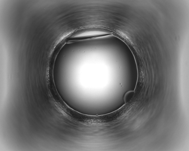 X0000086950535200704301219