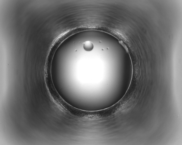 X0000086950536200704301219