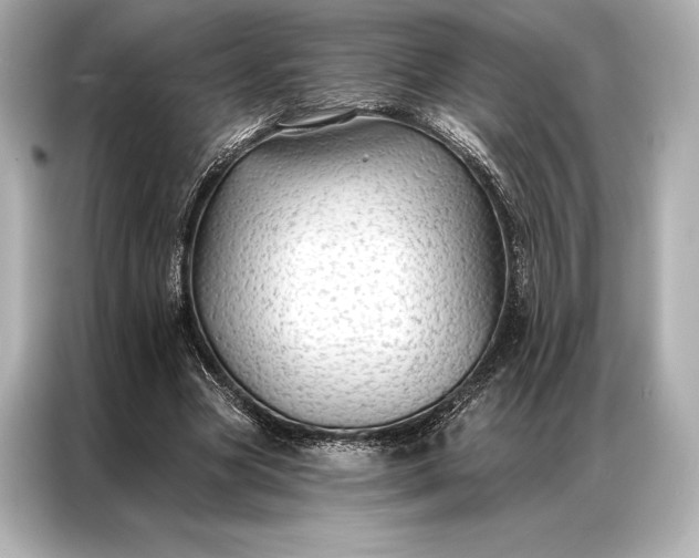 X0000086950537200704301219