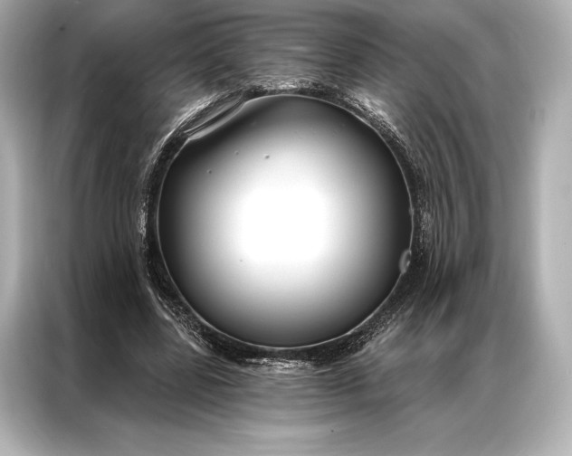 X0000086950539200704301219